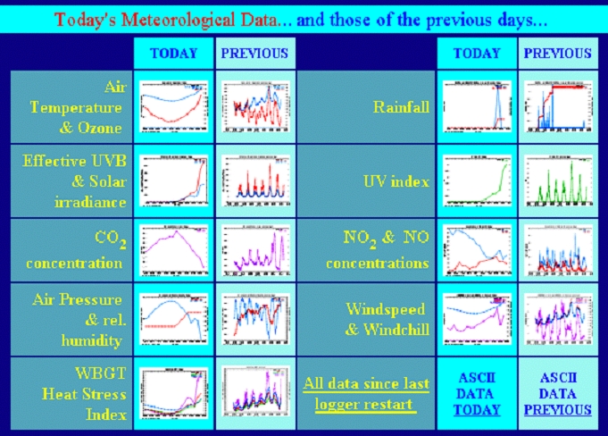 Decorative Picture - 