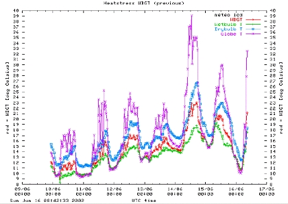 Decorative Picture - 